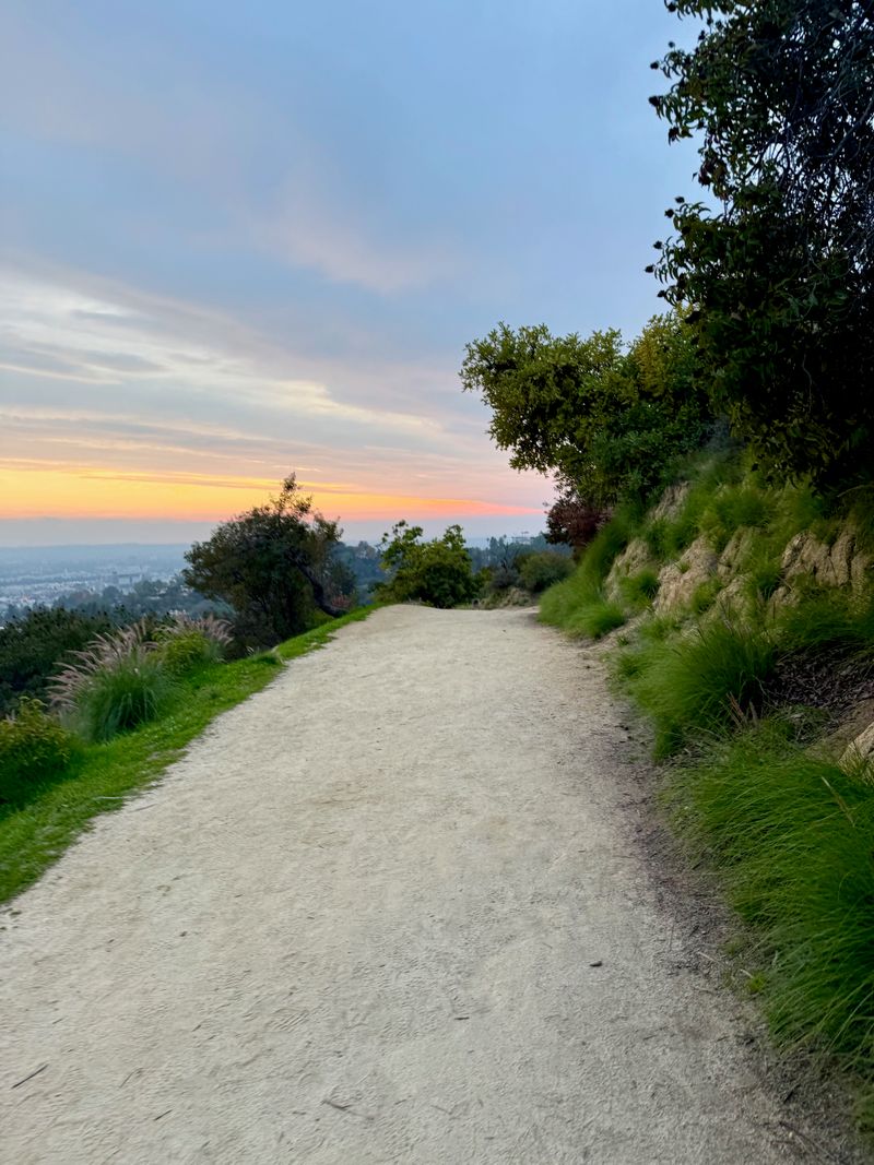A path through Griffith.